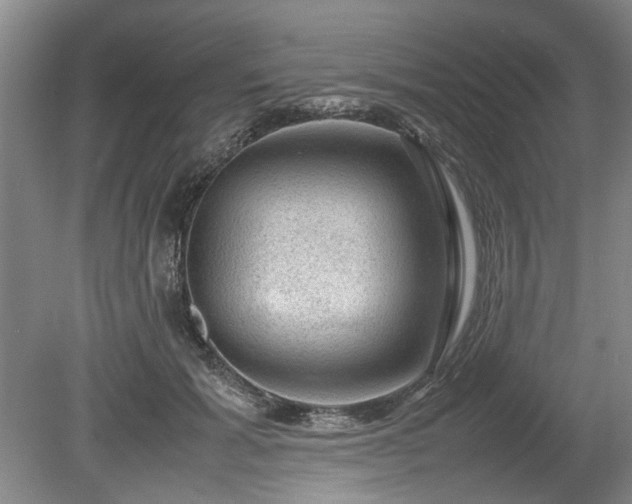 X0000078860605200611201315