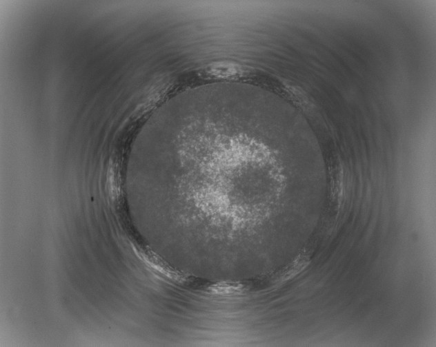 X0000078860606200611201315