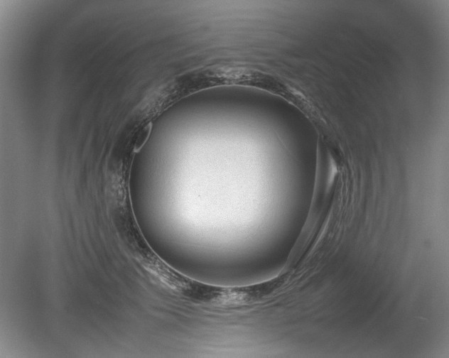 X0000078860609200611201315