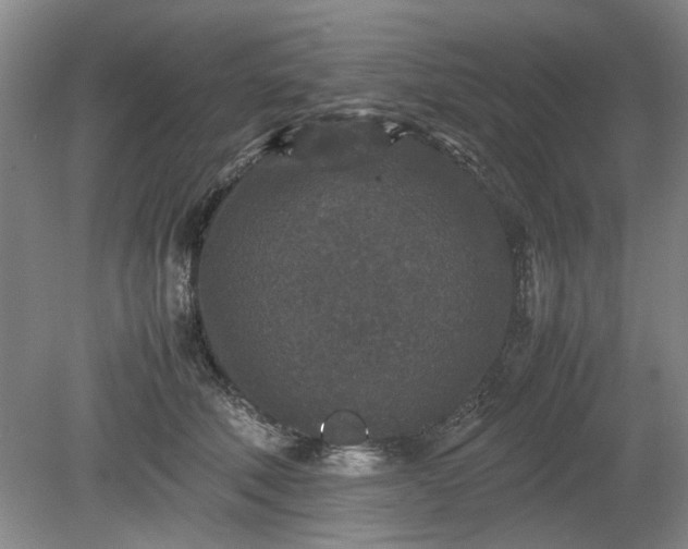 X0000078860610200611201315