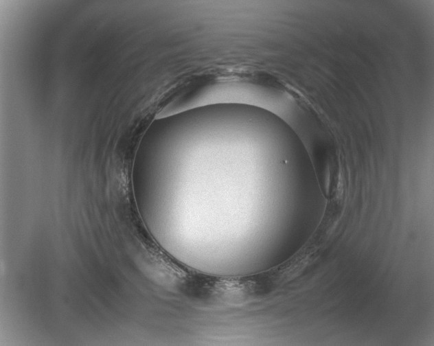 X0000078860613200611201315