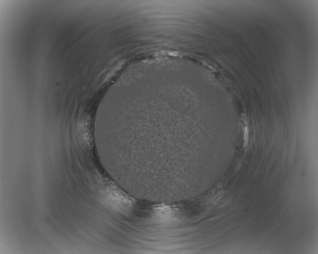 X0000078860616200611201315