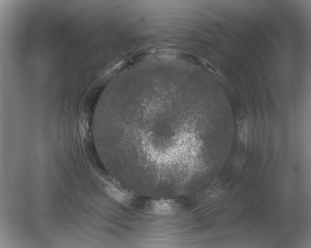 X0000078860618200611201315