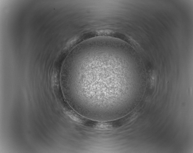 X0000078860619200611201315