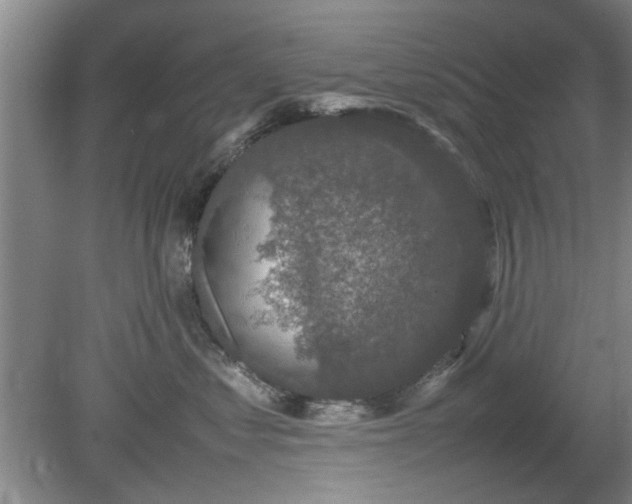 X0000078860621200611201315