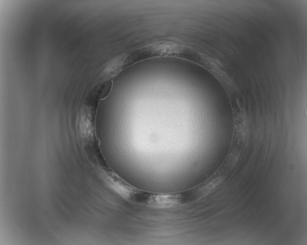 X0000078860622200611201315