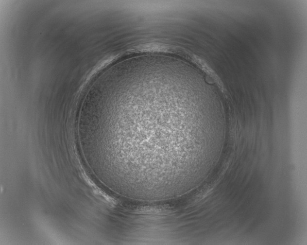 X0000078860625200611201314