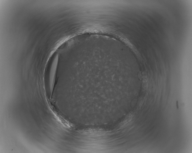 X0000078860626200611201314