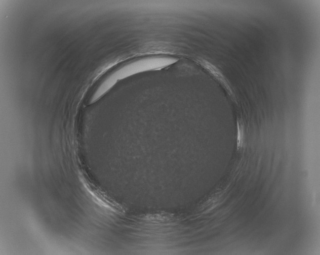 X0000078860627200611201314