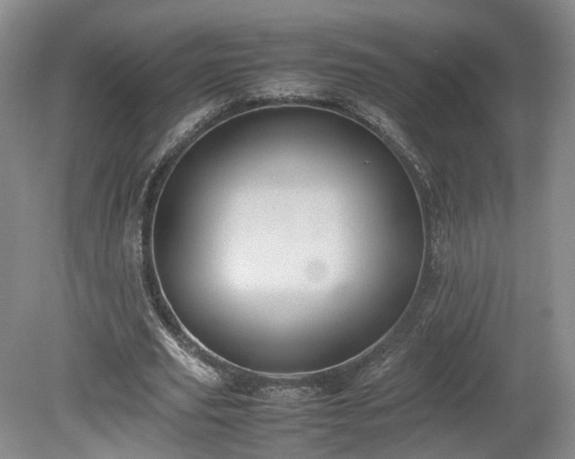 X0000078860629200611201314