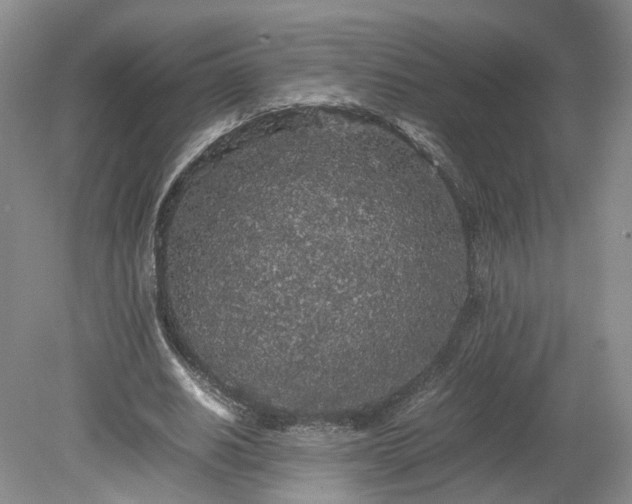 X0000078860630200611201314