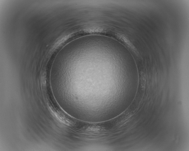 X0000078860631200611201314