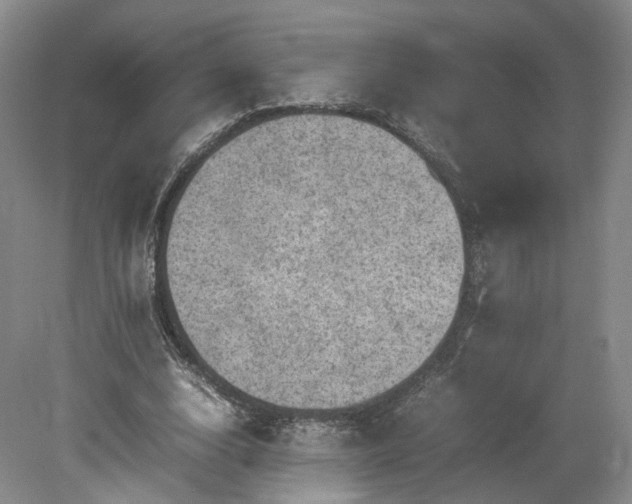 X0000078860632200611201314