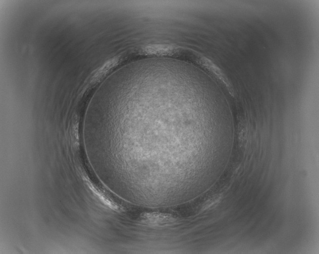 X0000078860633200611201314