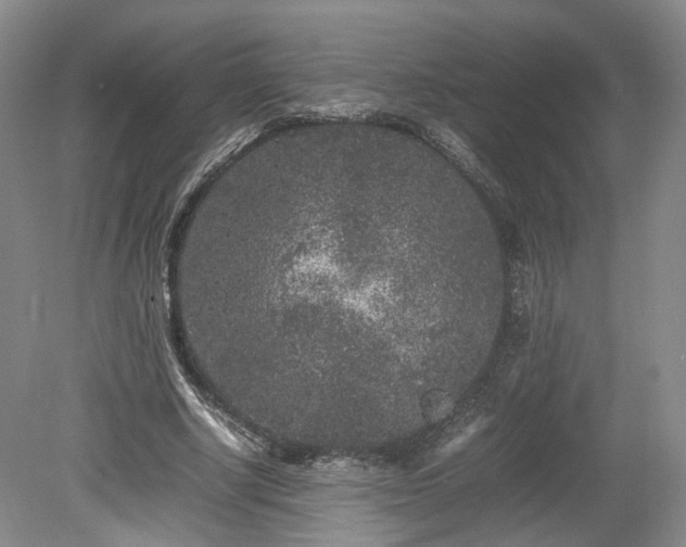 X0000078860634200611201314