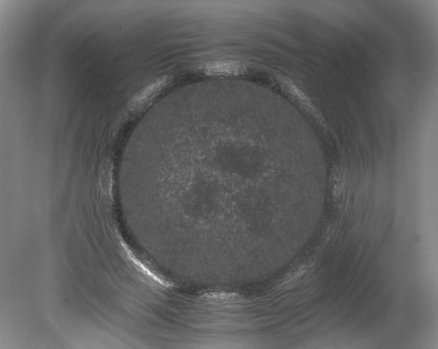 X0000078860637200611201314