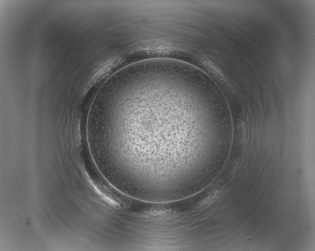 X0000078860638200611201314