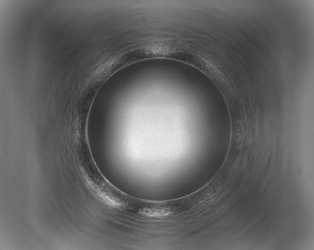 X0000078860639200611201314