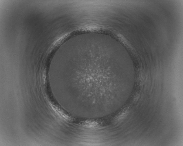 X0000078860640200611201314