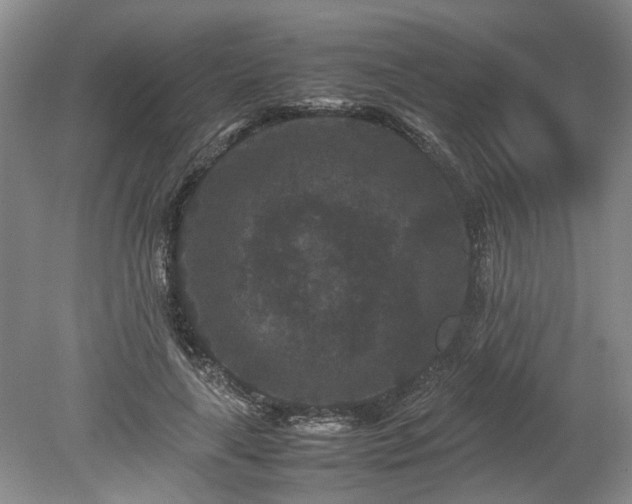 X0000078860643200611201314