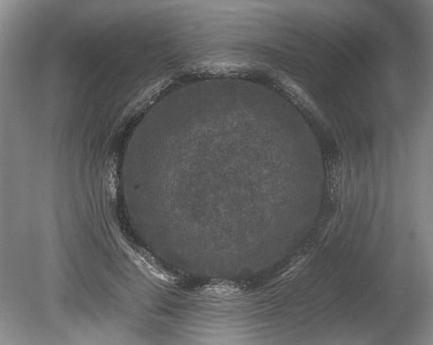 X0000078860644200611201314