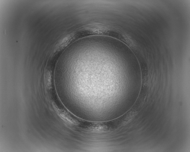 X0000078860646200611201314