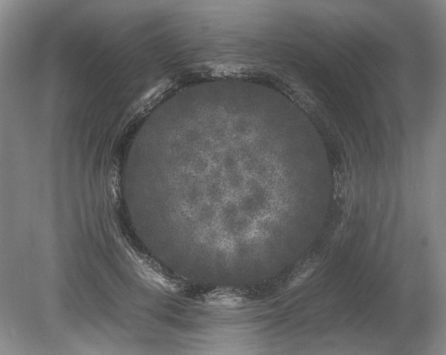 X0000078860648200611201314