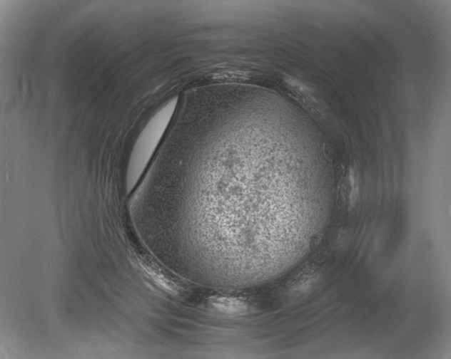 X0000078860649200611201314