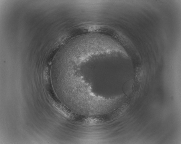 X0000078860650200611201314