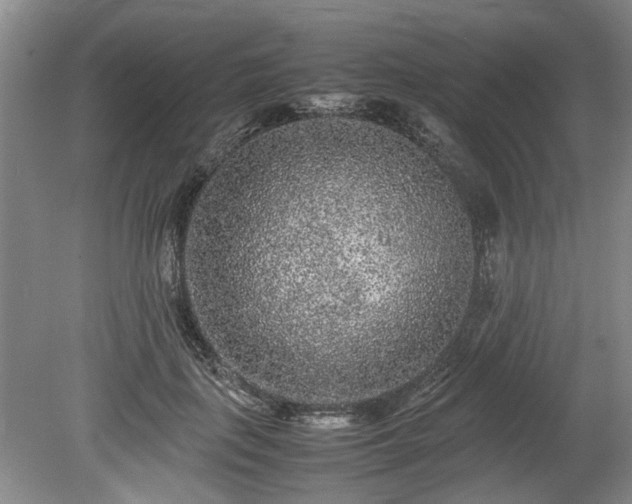 X0000078860651200611201314