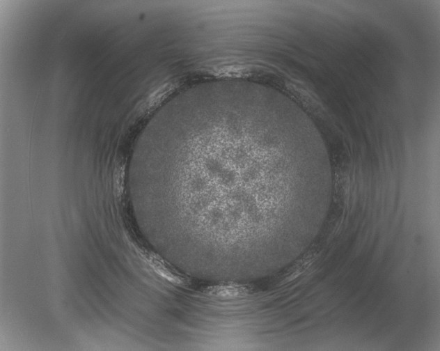 X0000078860652200611201314