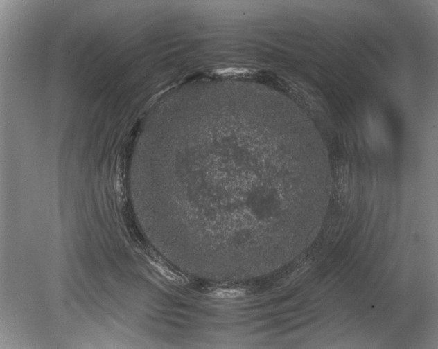 X0000078860653200611201314