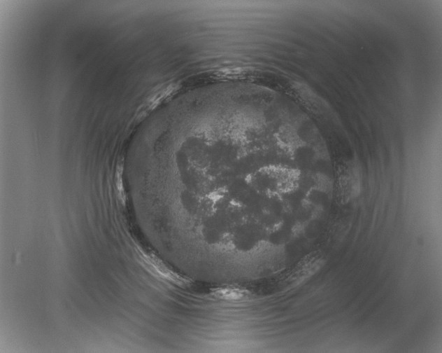 X0000078860654200611201315