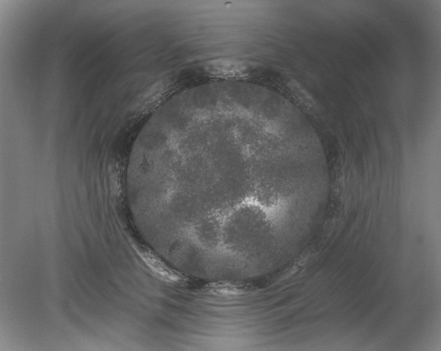 X0000078860658200611201315