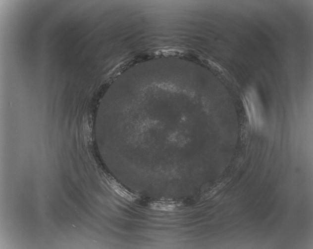 X0000078860661200611201315