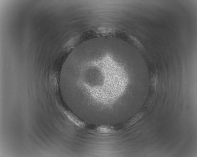 X0000078860662200611201315