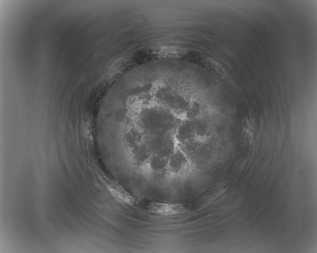 X0000078860663200611201315