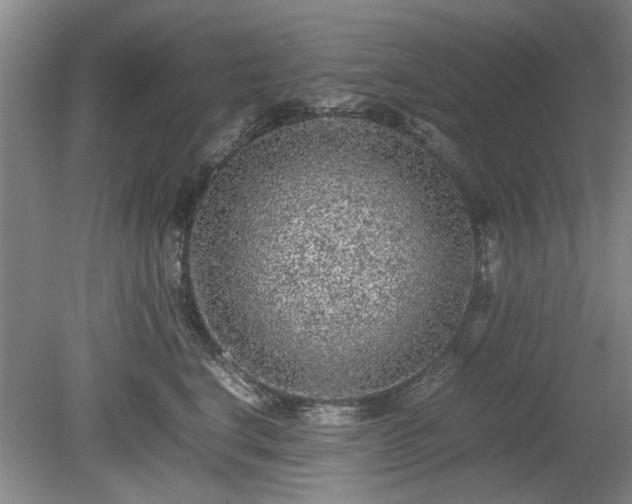 X0000078860664200611201315