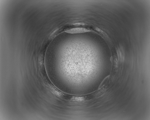 X0000078860665200611201315