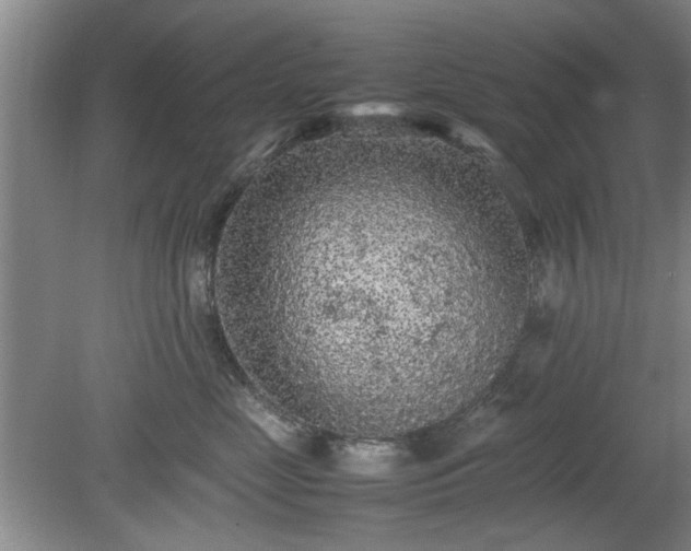 X0000078860669200611201315