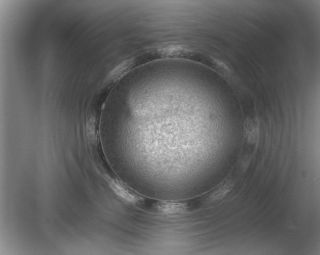 X0000078860670200611201315