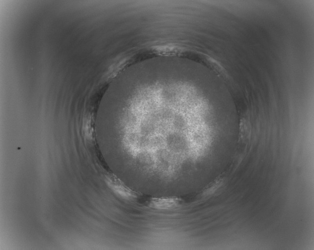 X0000078860671200611201315