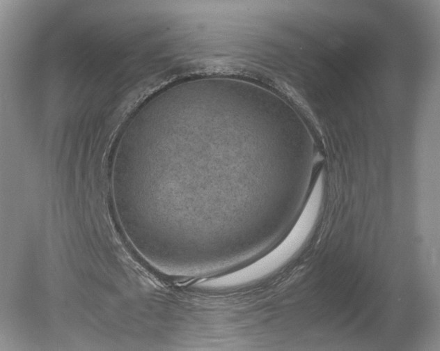 X0000078860673200611201314