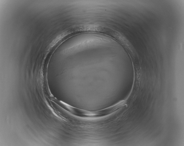 X0000078860674200611201314