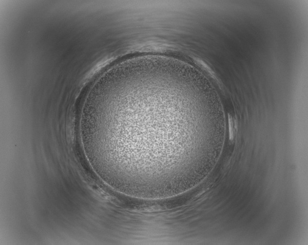 X0000078860675200611201314