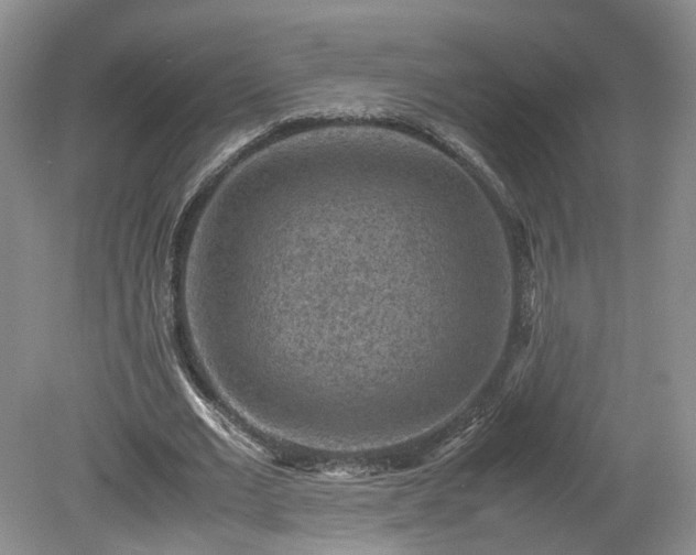 X0000078860677200611201314