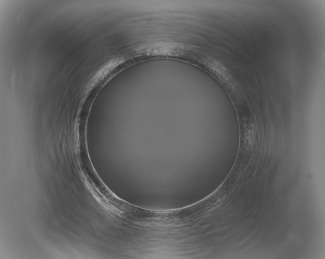 X0000078860678200611201314