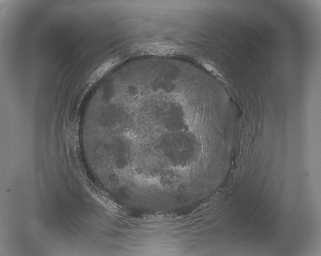 X0000078860679200611201314