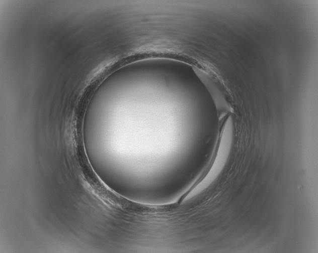 X0000078860680200611201314