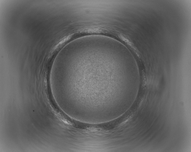 X0000078860681200611201314